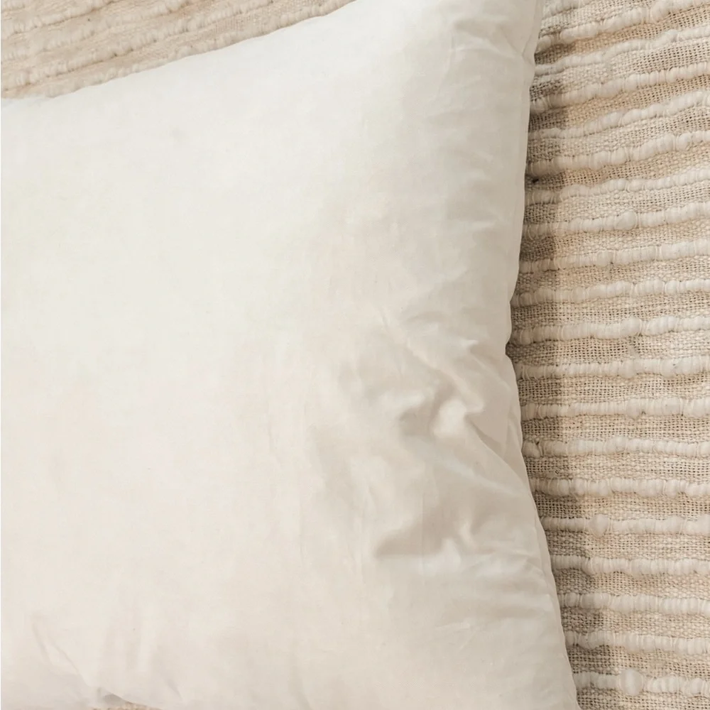 COPY - West Elm 20x20 Decorative Pillow Insert